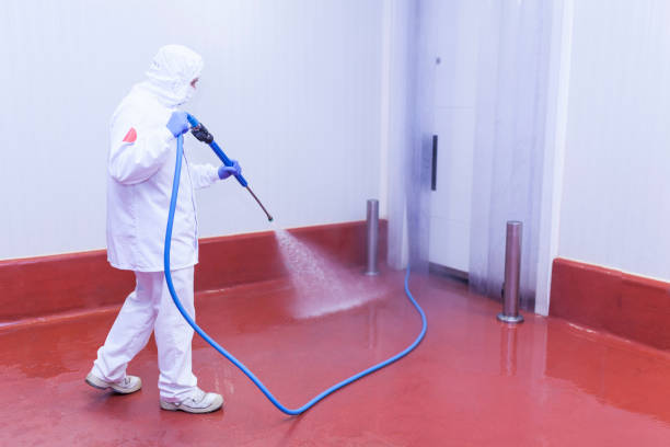 Best Post-Construction Pressure Washing  in Frankl, IN
