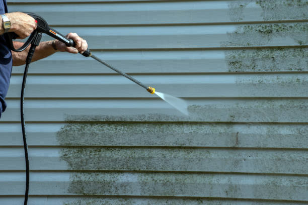 Best Fence Cleaning  in Frankl, IN