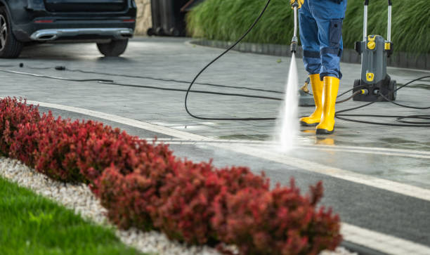 Best Dumpster Area Cleaning  in Frankl, IN