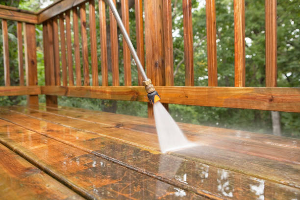 Best Gutter Cleaning  in Frankl, IN